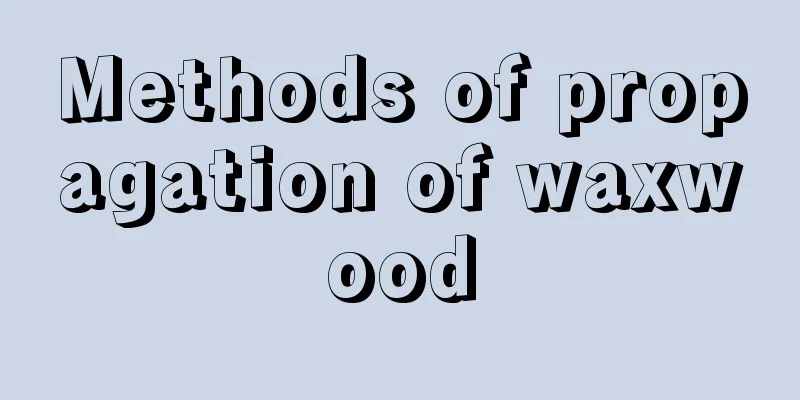 Methods of propagation of waxwood