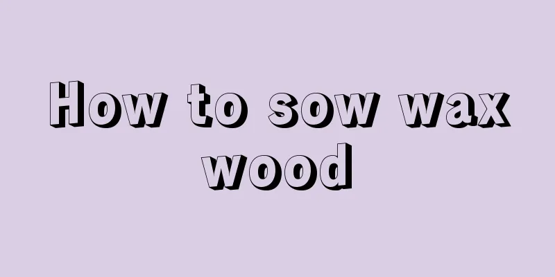 How to sow waxwood