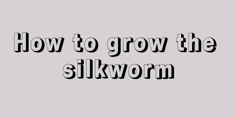 How to grow the silkworm