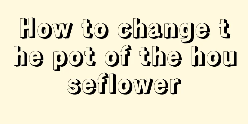 How to change the pot of the houseflower