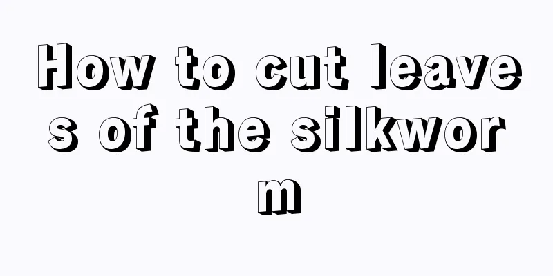 How to cut leaves of the silkworm