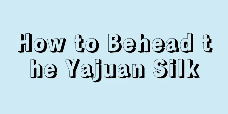 How to Behead the Yajuan Silk