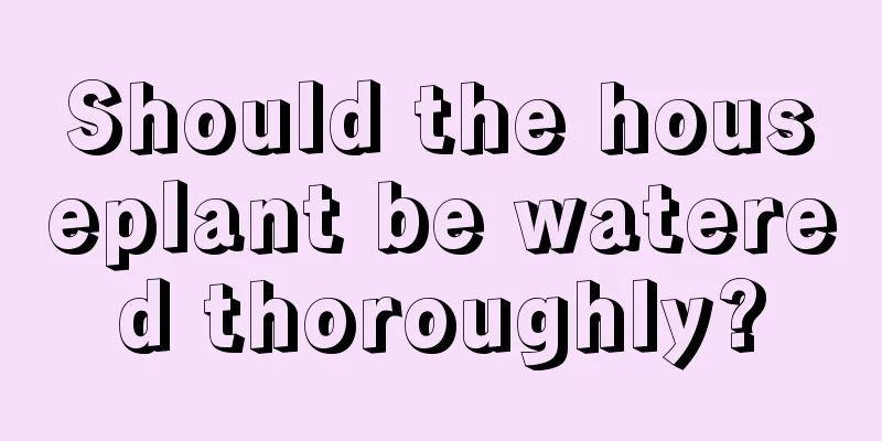 Should the houseplant be watered thoroughly?
