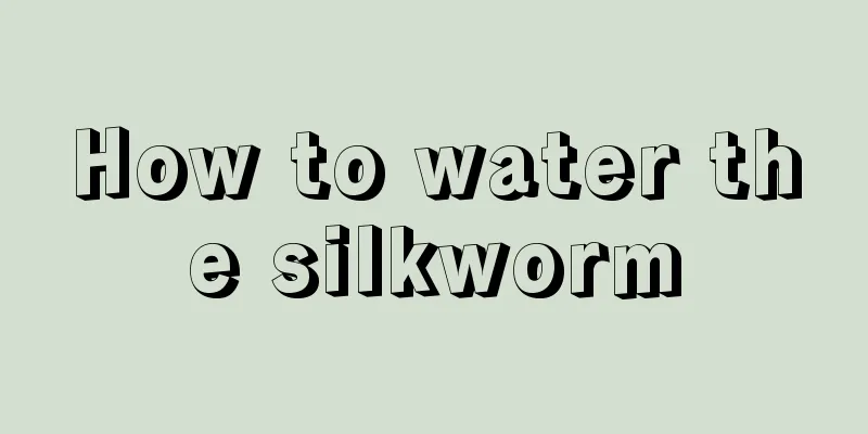 How to water the silkworm