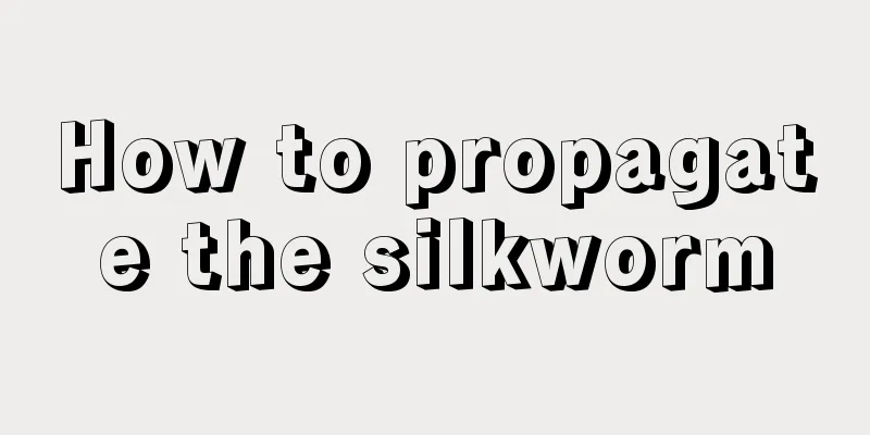 How to propagate the silkworm