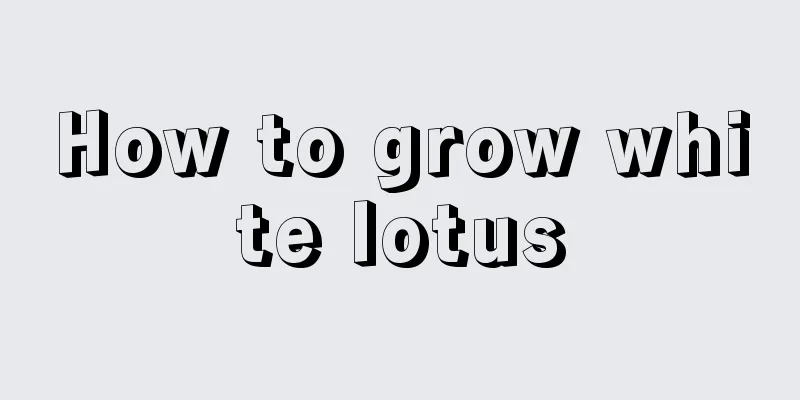 How to grow white lotus