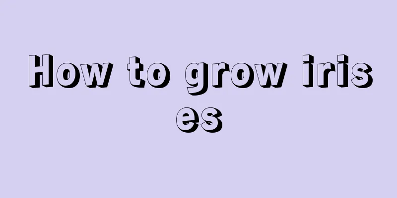 How to grow irises