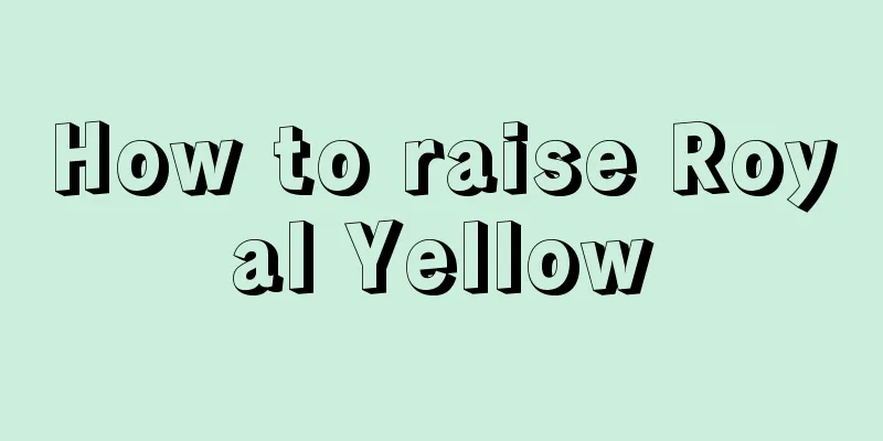 How to raise Royal Yellow