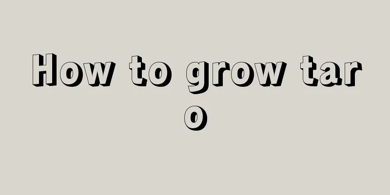 How to grow taro