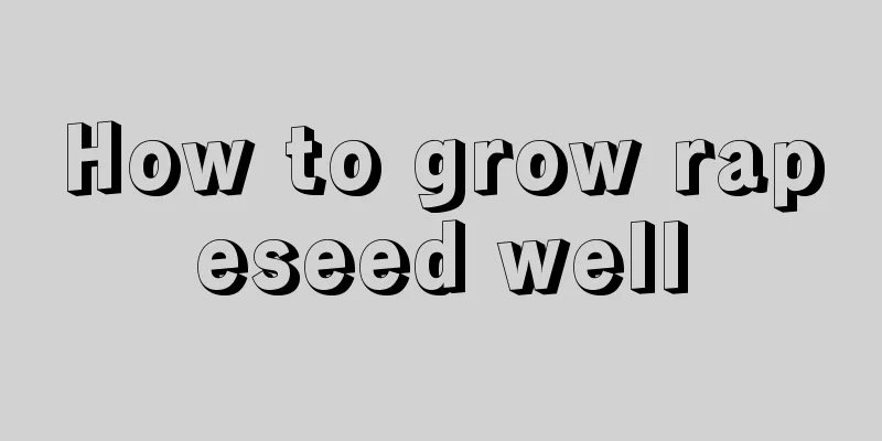 How to grow rapeseed well