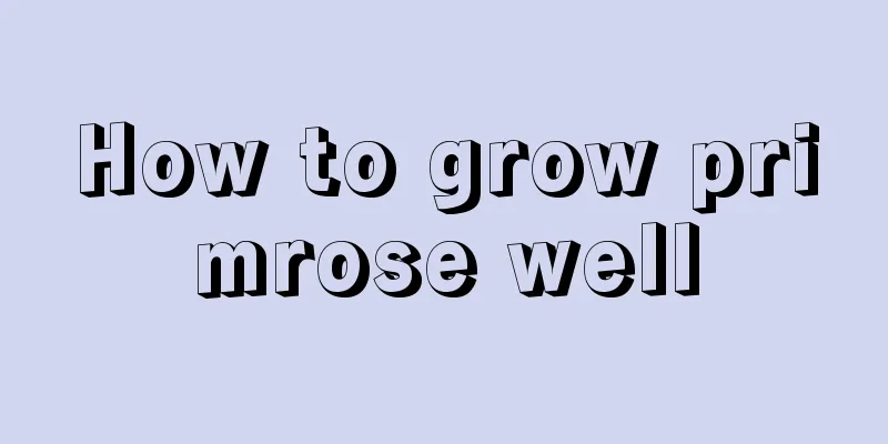 How to grow primrose well