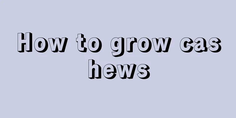 How to grow cashews