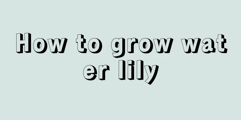 How to grow water lily