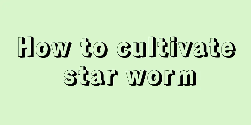 How to cultivate star worm