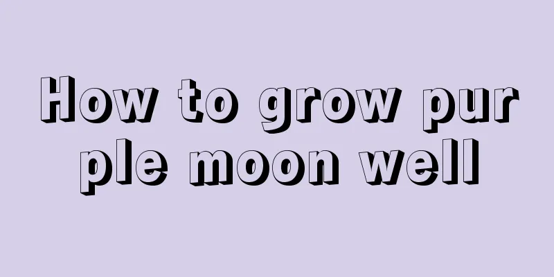 How to grow purple moon well