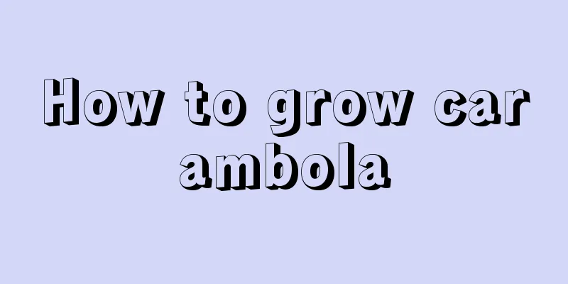 How to grow carambola