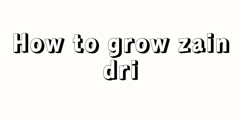 How to grow zaindri