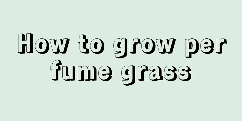 How to grow perfume grass