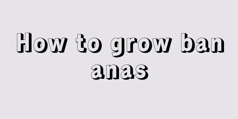 How to grow bananas