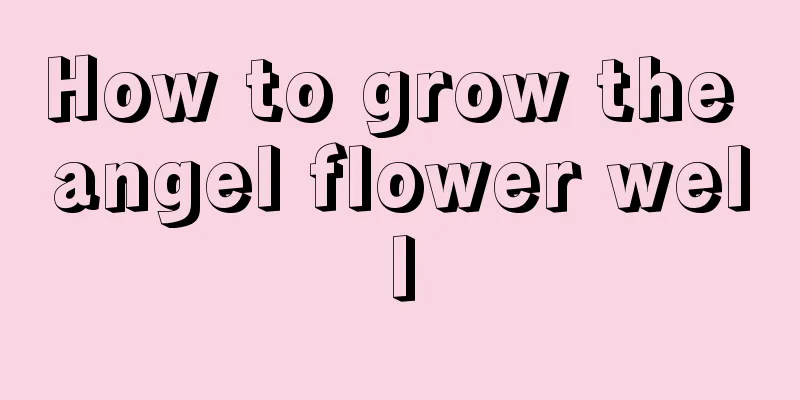 How to grow the angel flower well