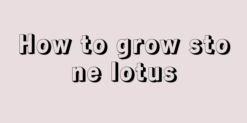 How to grow stone lotus