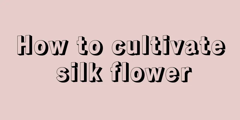 How to cultivate silk flower