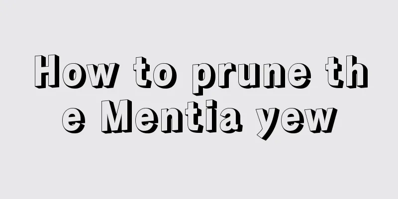 How to prune the Mentia yew