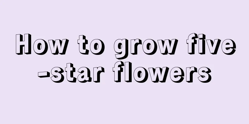 How to grow five-star flowers