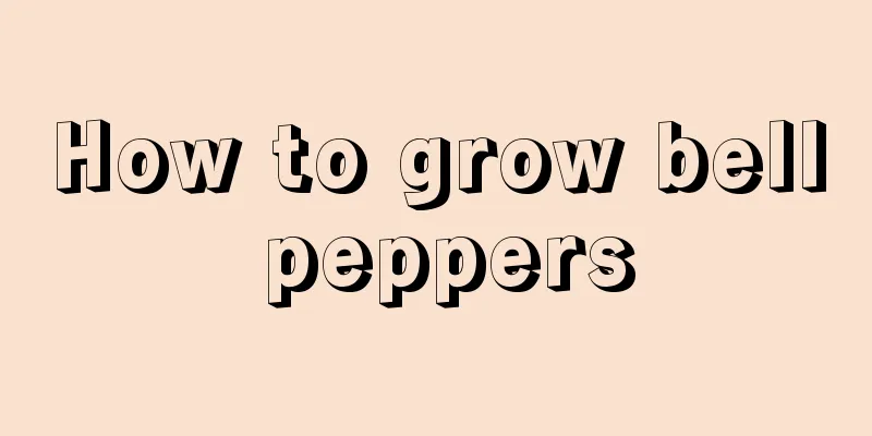 How to grow bell peppers