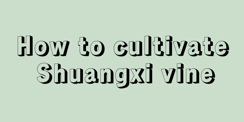 How to cultivate Shuangxi vine