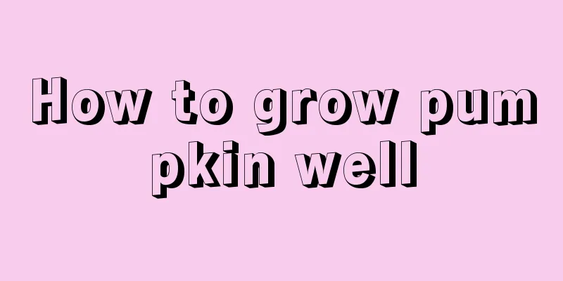 How to grow pumpkin well