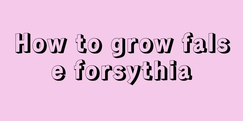 How to grow false forsythia