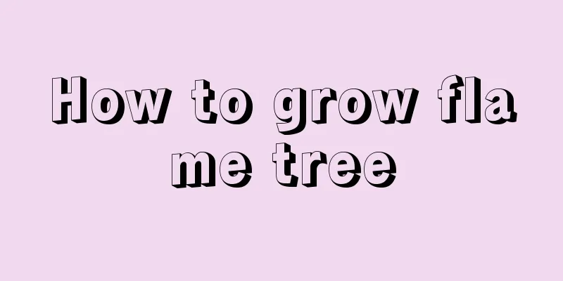 How to grow flame tree