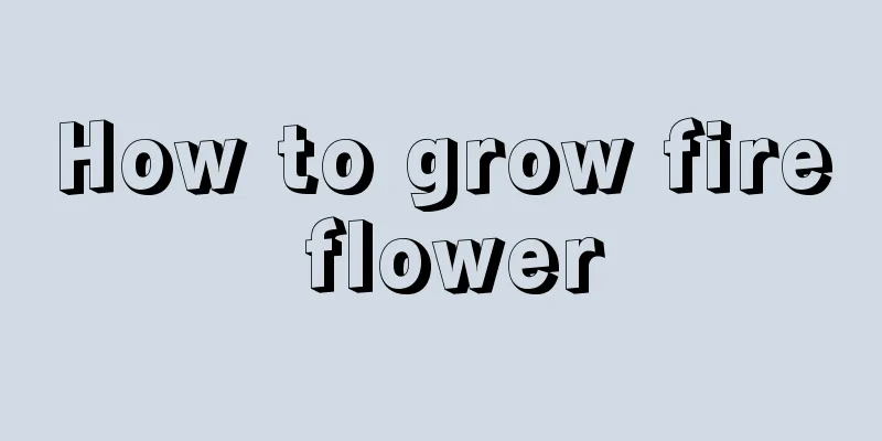 How to grow fire flower