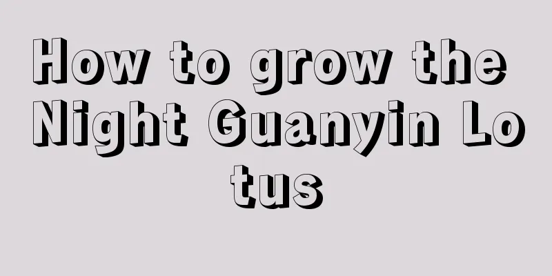 How to grow the Night Guanyin Lotus