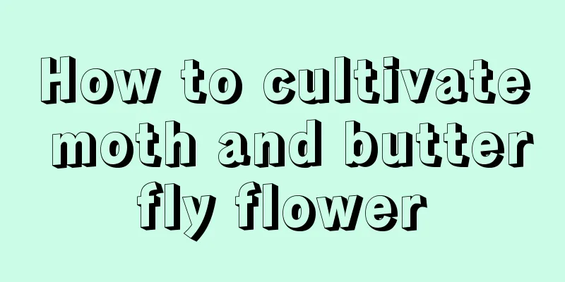 How to cultivate moth and butterfly flower