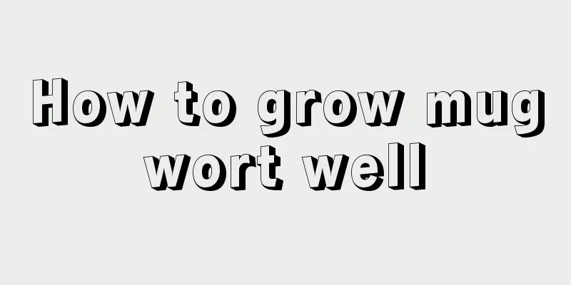 How to grow mugwort well