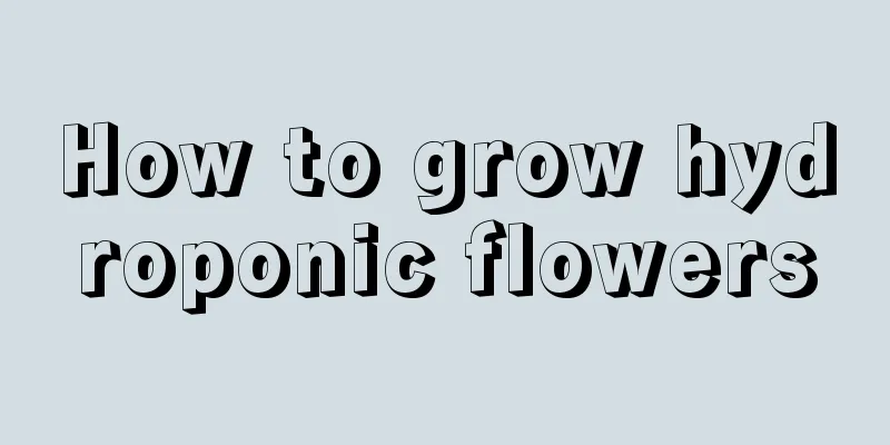 How to grow hydroponic flowers