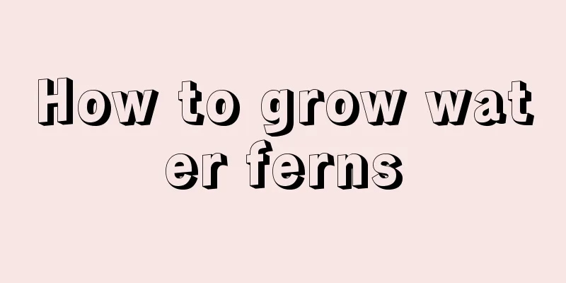 How to grow water ferns