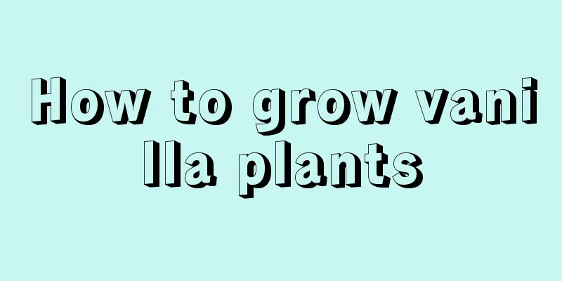 How to grow vanilla plants