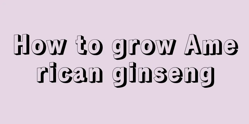 How to grow American ginseng