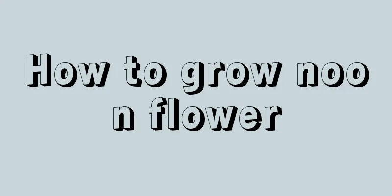 How to grow noon flower