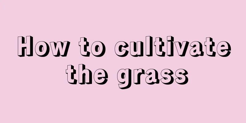 How to cultivate the grass