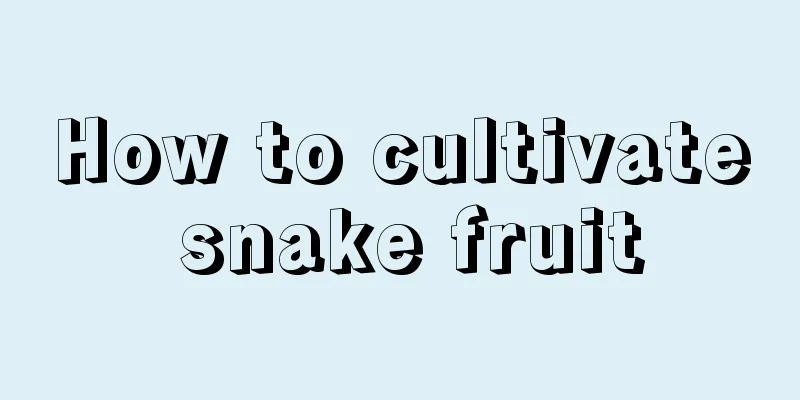 How to cultivate snake fruit