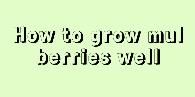 How to grow mulberries well