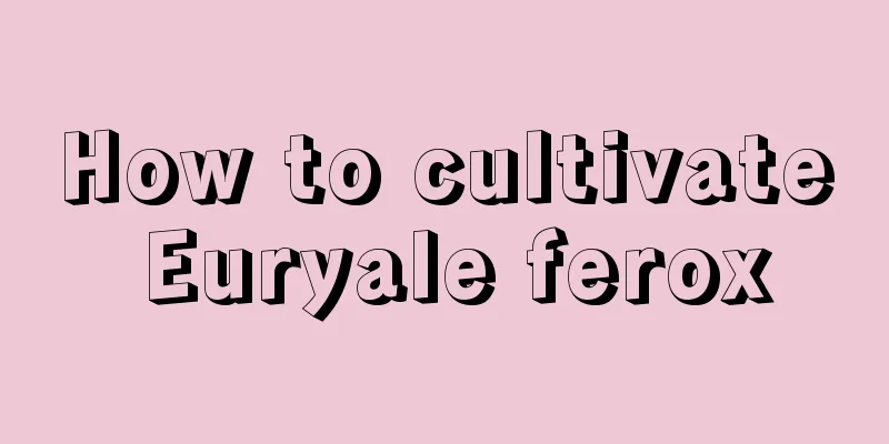 How to cultivate Euryale ferox