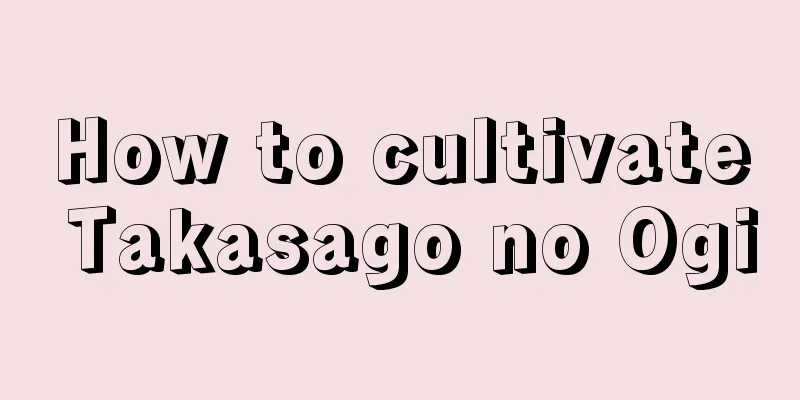 How to cultivate Takasago no Ogi