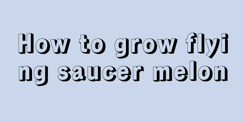 How to grow flying saucer melon