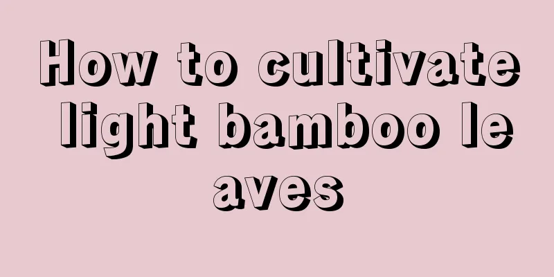 How to cultivate light bamboo leaves