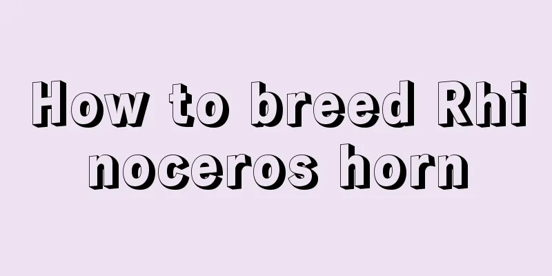 How to breed Rhinoceros horn